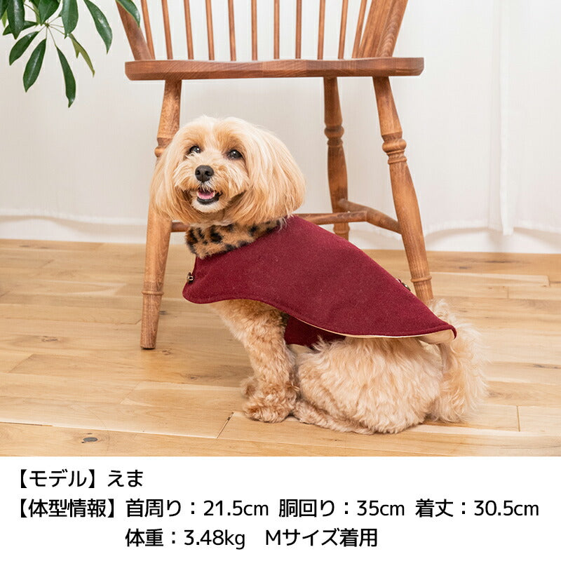 ヒョウ柄襟マント XS/S/M/L/XL/XXL TINOTITO -ティノティート- 犬服 ドッグウェア TT24AW
