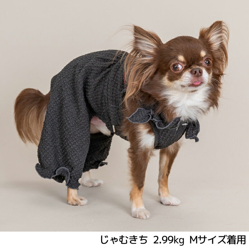 肩リボンつなぎ XS/S/M/L/XL/XXL TINOTITO -ティノティート- 犬服 ドッグウェア TT25SS tt251390