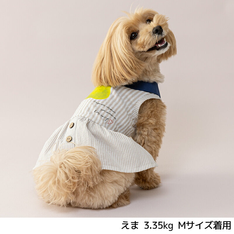 丸襟ストライプワンピ XS/S/M/L/XL/XXL TINOTITO -ティノティート- 犬服 ドッグウェア TT25SS tt251392