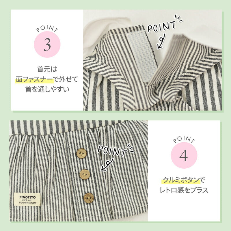 丸襟ストライプワンピ XS/S/M/L/XL/XXL TINOTITO -ティノティート- 犬服 ドッグウェア TT25SS tt251392