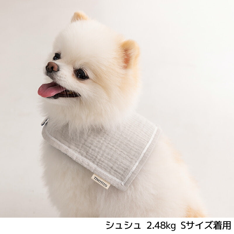 スクエアクーリングスタイ S/M/L TINOTITO -ティノティート- 犬服 ドッグウェア TT25SS tt252400