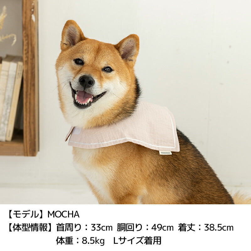 スクエアクーリングスタイ S/M/L TINOTITO -ティノティート- 犬服 ドッグウェア TT25SS tt252400