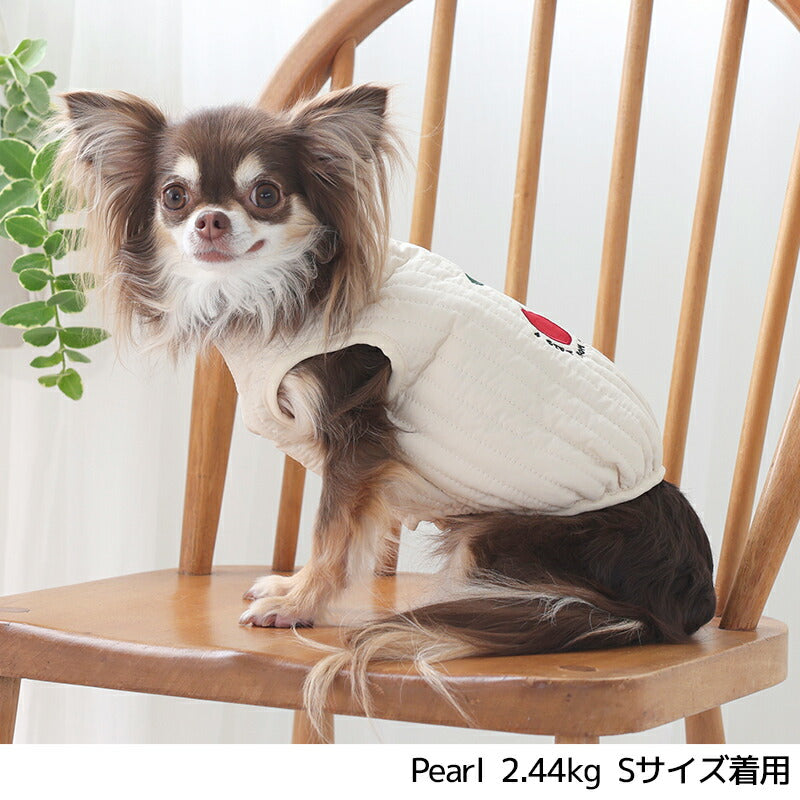 ニュアンスカラーアウター XS/S/M/L/XL/XXL TINOTITO -ティノティート- 犬服 ドッグウェア TT25AW tt251424