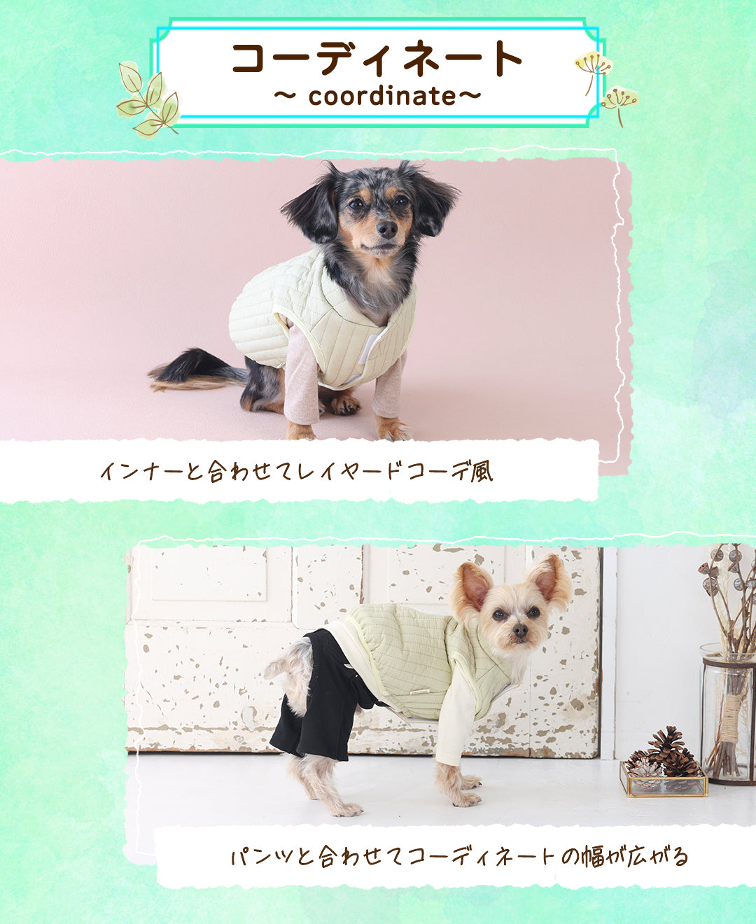 ニュアンスカラーアウター XS/S/M/L/XL/XXL TINOTITO -ティノティート- 犬服 ドッグウェア TT25AW tt251424
