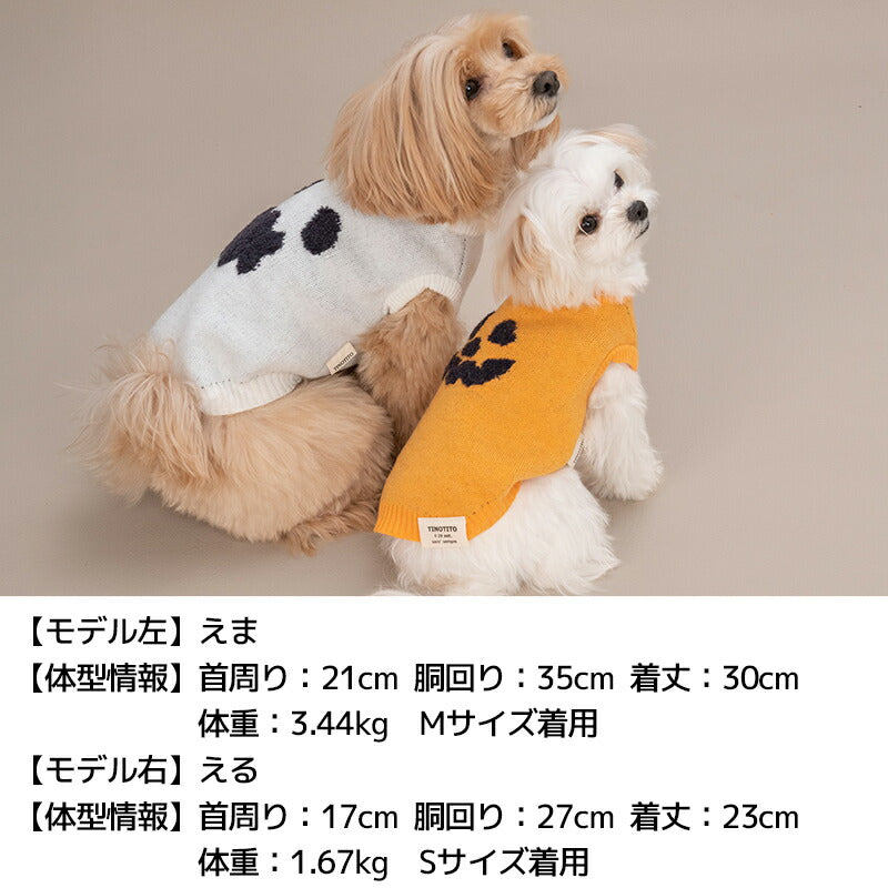 パンプキンニット XS/S/M/L/XL/XXL TINOTITO -ティノティート- 犬服 ドッグウェア TT25AW tt251428