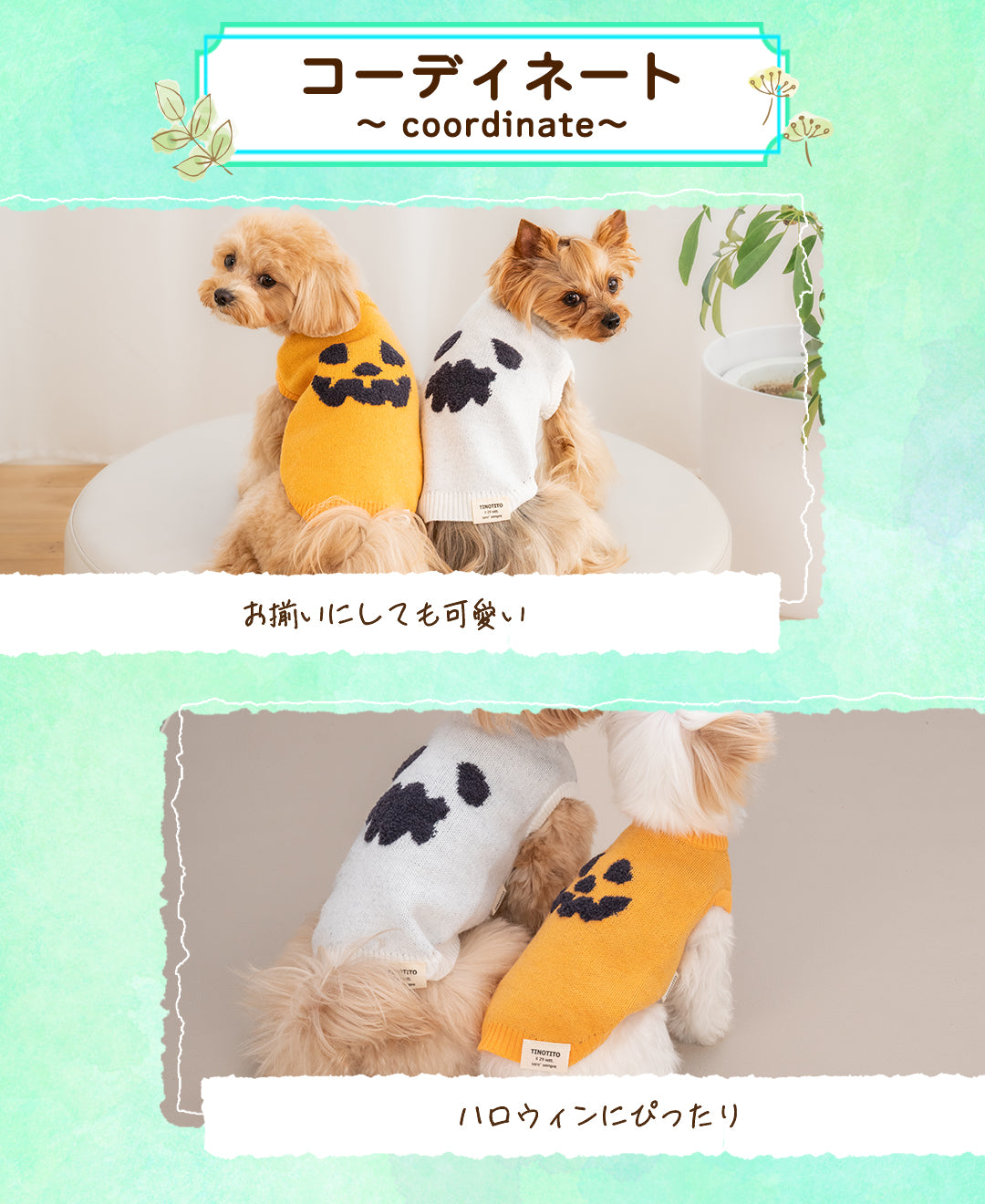パンプキンニット XS/S/M/L/XL/XXL TINOTITO -ティノティート- 犬服 ドッグウェア TT25AW tt251428