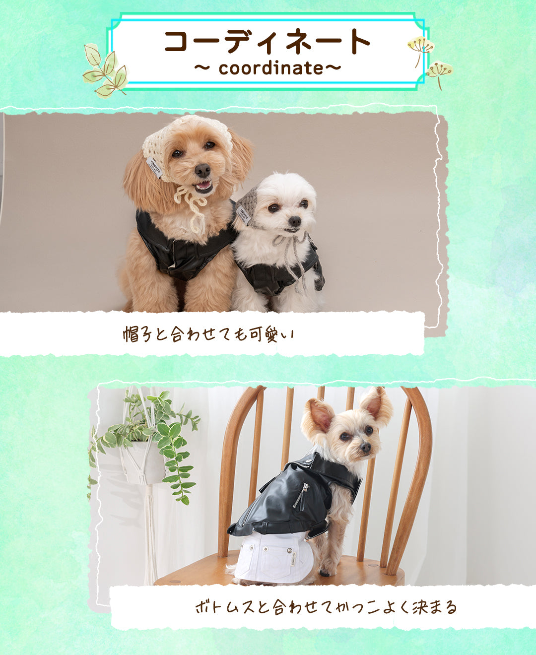 ライダースジャケット XS/S/M/L/XL/XXL TINOTITO -ティノティート- 犬服 ドッグウェア TT25AW tt251436