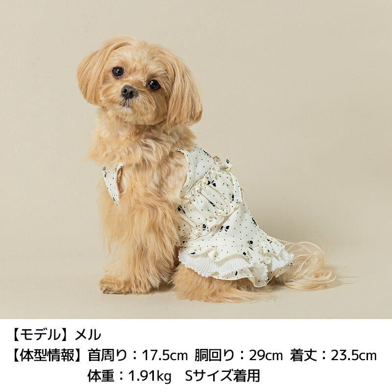 リボン柄キャミワンピ XS/S/M/L/XL/XXL Un TouTou -アントゥトゥ- 犬用 UT25SS ut251002