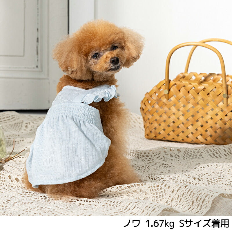うさぎ柄ワンピ XS/S/M/L/XL/XXL Un TouTou -アントゥトゥ- 犬用 UT25SS ut251004