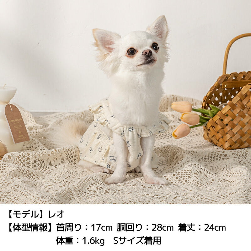 うさぎ柄ワンピ XS/S/M/L/XL/XXL Un TouTou -アントゥトゥ- 犬用 UT25SS ut251004