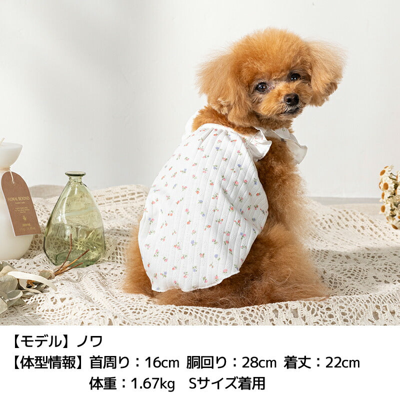 小花柄フリルキャミ XS/S/M/L/XL/XXL/DS/DM Un TouTou -アントゥトゥ- 犬用 UT25SS ut251006
