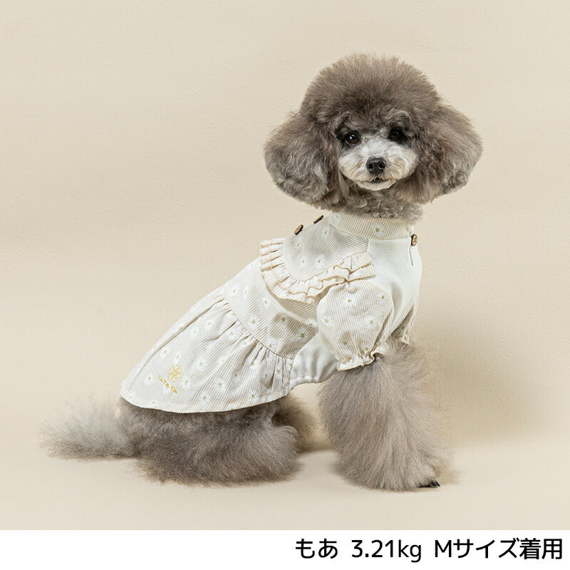 デイジー柄ストライプワンピ XS/S/M/L/XL/XXL Un TouTou -アントゥトゥ- 犬用 UT25SS ut251007