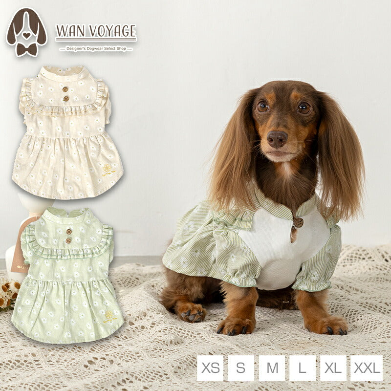 デイジー柄ストライプワンピ XS/S/M/L/XL/XXL Un TouTou -アントゥトゥ- 犬用 UT25SS ut251007