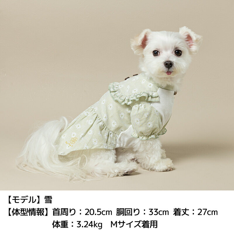 デイジー柄ストライプワンピ XS/S/M/L/XL/XXL Un TouTou -アントゥトゥ- 犬用 UT25SS ut251007