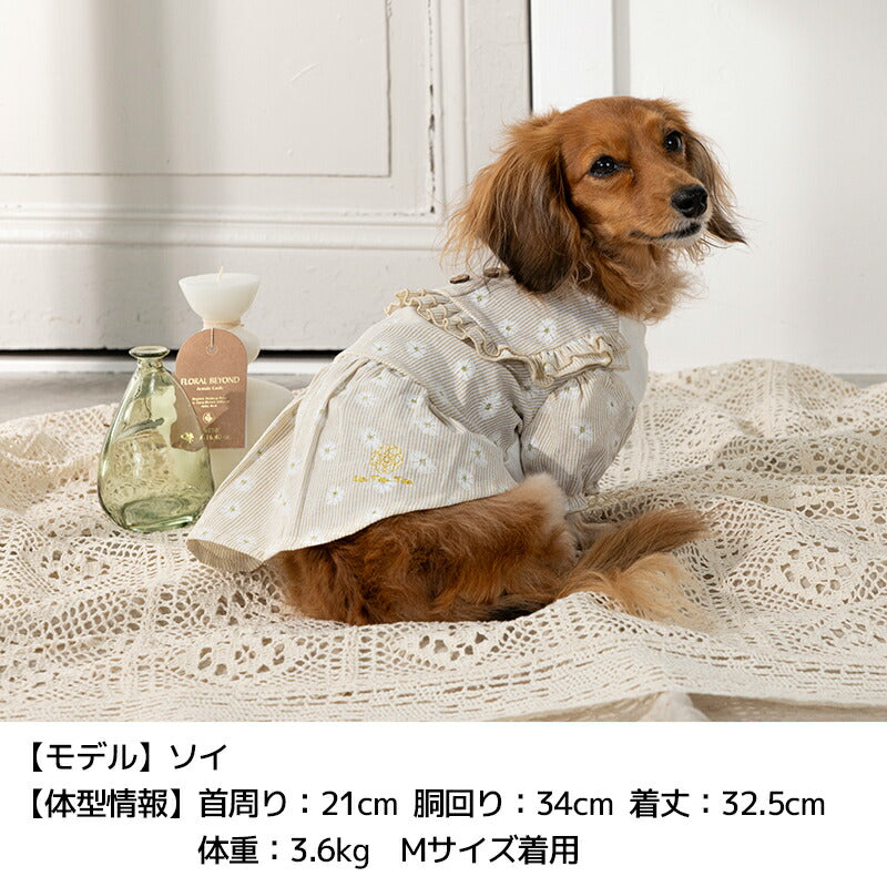 デイジー柄ストライプワンピ XS/S/M/L/XL/XXL Un TouTou -アントゥトゥ- 犬用 UT25SS ut251007