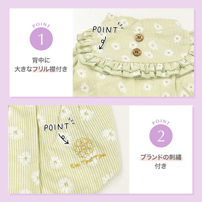 デイジー柄ストライプワンピ XS/S/M/L/XL/XXL Un TouTou -アントゥトゥ- 犬用 UT25SS ut251007