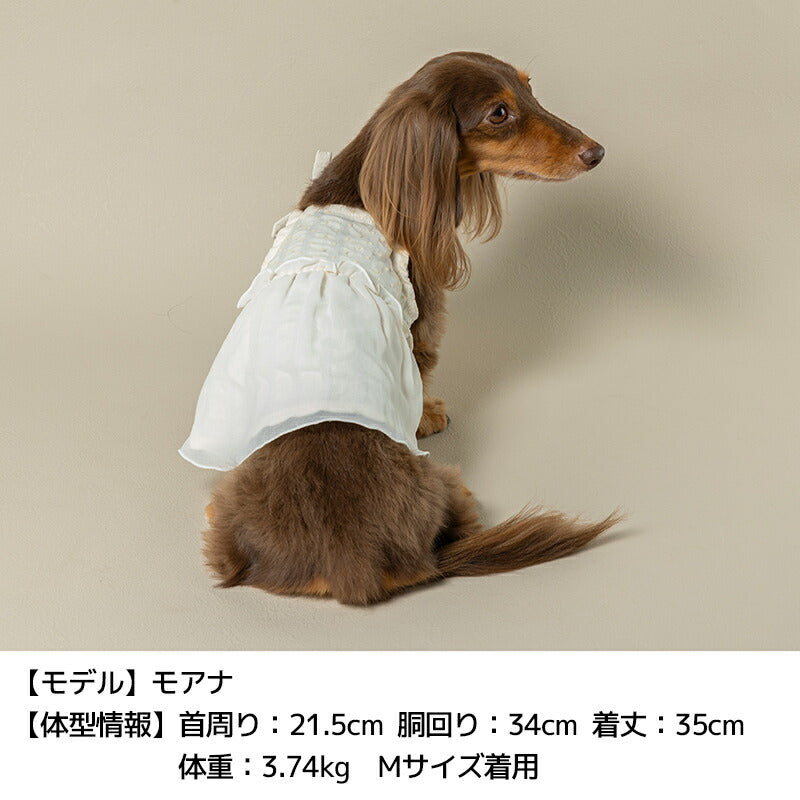ドットシフォンワンピ XS/S/M/L/XL/XXL Un TouTou -アントゥトゥ- 犬用 UT25SS ut251009