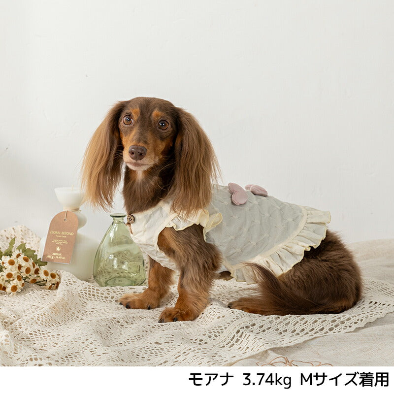 ぷくぷくハートワンピ XS/S/M/L/XL/XXL Un TouTou -アントゥトゥ- 犬用 UT25SS ut251011