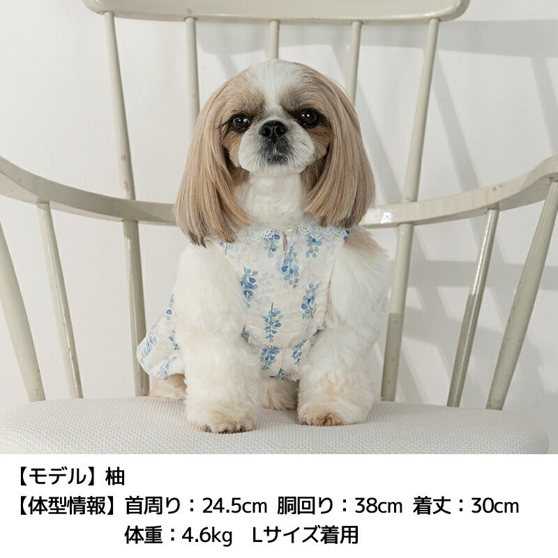 きらきらチュールバルーンワンピ XS/S/M/L/XL/XXL Un TouTou -アントゥトゥ- 犬用 UT25SS ut251015