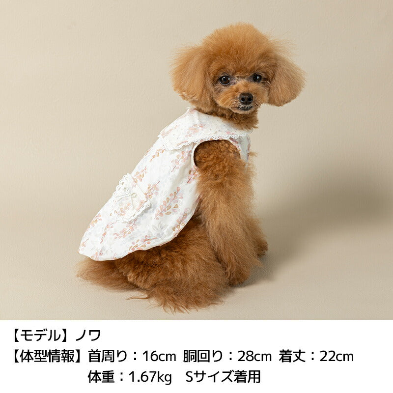 きらきらチュールバルーンワンピ XS/S/M/L/XL/XXL Un TouTou -アントゥトゥ- 犬用 UT25SS ut251015