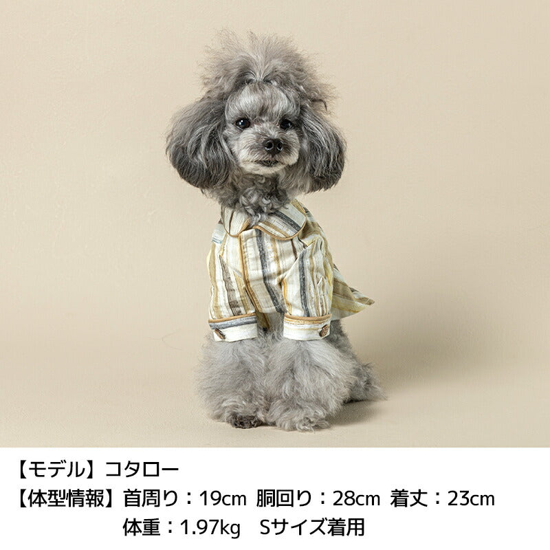 マルチストライプシャツ XS/S/M/L/XL/XXL/DS/DM Un TouTou -アントゥトゥ- 犬用 UT25SS ut251016