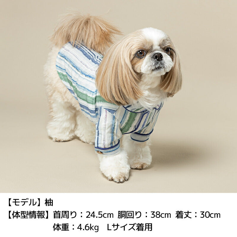 マルチストライプシャツ XS/S/M/L/XL/XXL/DS/DM Un TouTou -アントゥトゥ- 犬用 UT25SS ut251016