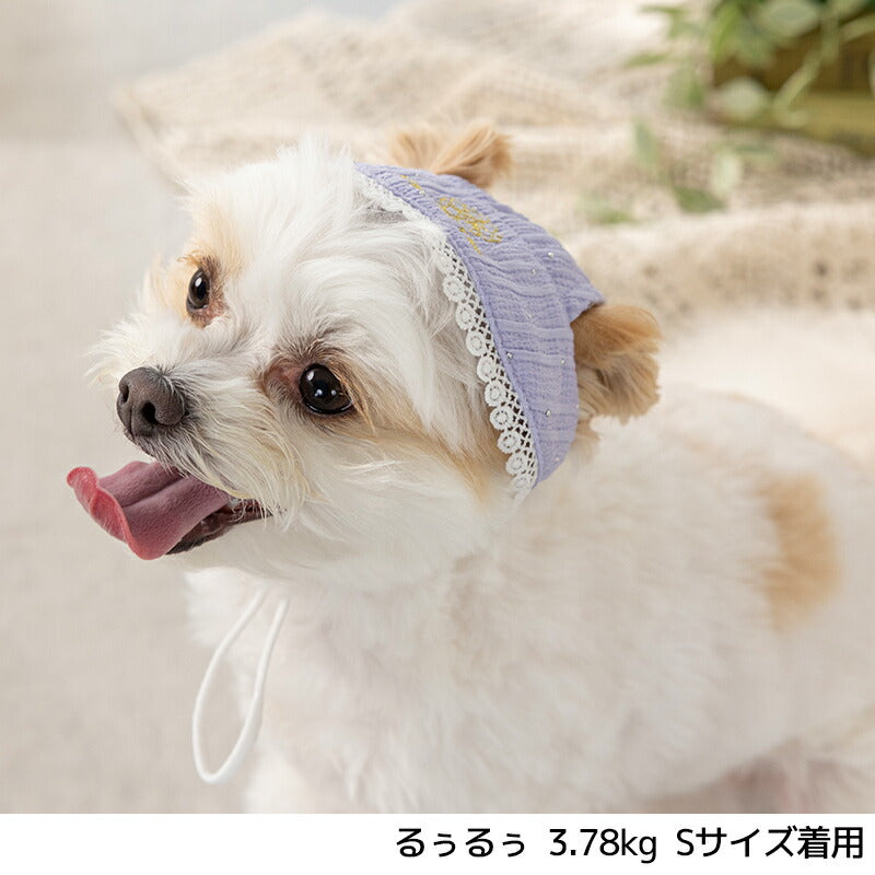 きらきらストーンレース帽子 S/M/L Un TouTou -アントゥトゥ- 犬用 UT25SS ut252022