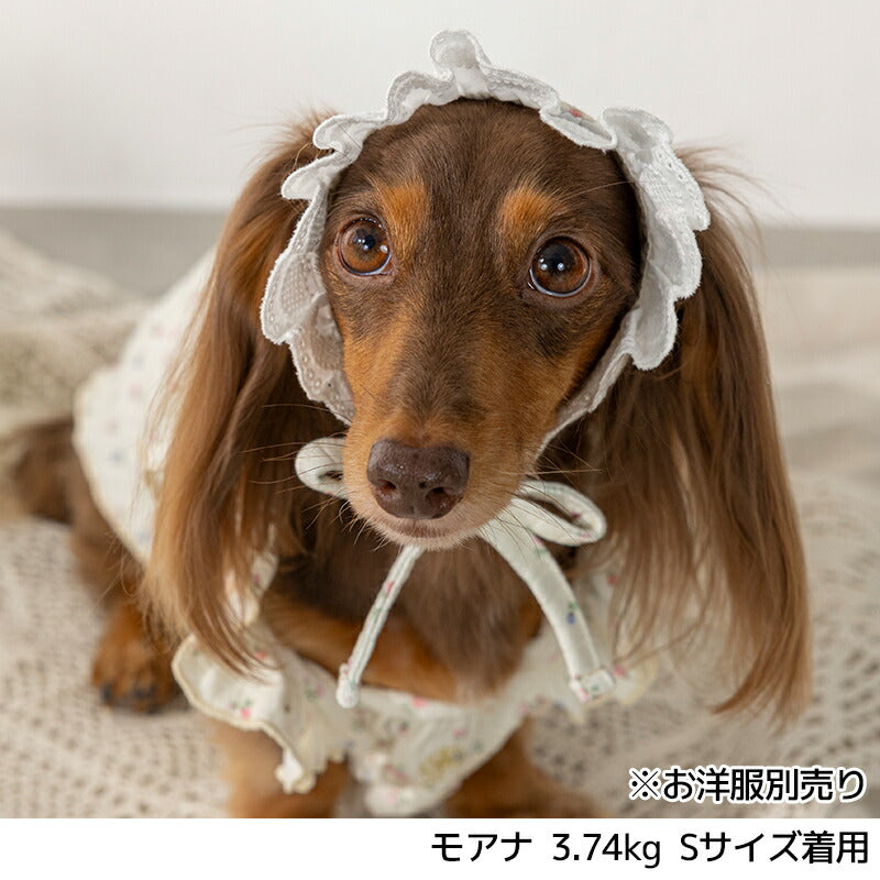 小花柄レース帽子 S/M/L Un TouTou -アントゥトゥ- 犬用 UT25SS ut252027