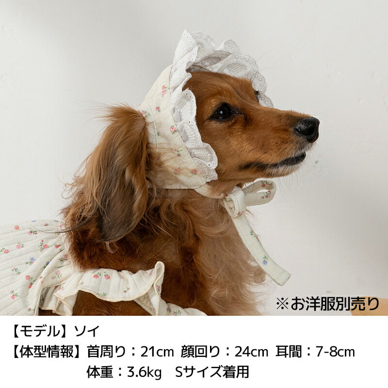 小花柄レース帽子 S/M/L Un TouTou -アントゥトゥ- 犬用 UT25SS ut252027