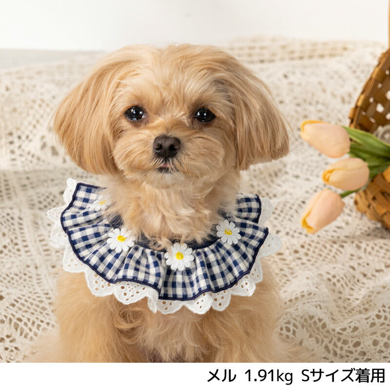 お花刺しゅうワッペンスタイ S/M/L Un TouTou -アントゥトゥ- 犬用 UT25SS ut252028