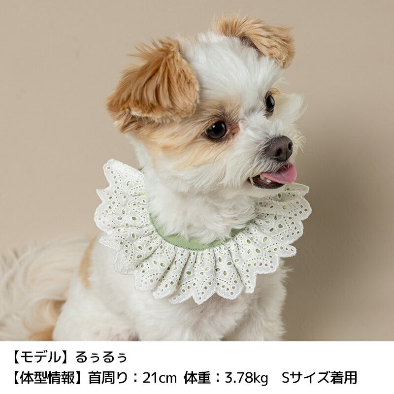 お花刺しゅうワッペンスタイ S/M/L Un TouTou -アントゥトゥ- 犬用 UT25SS ut252028
