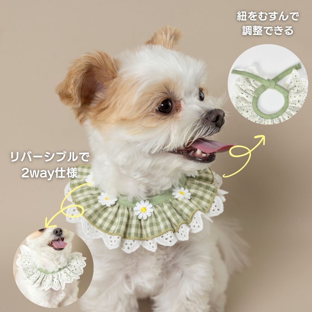 お花刺しゅうワッペンスタイ S/M/L Un TouTou -アントゥトゥ- 犬用 UT25SS ut252028