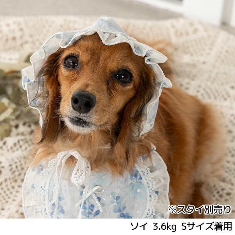 きらきらチュールフリル帽子 S/M/L Un TouTou -アントゥトゥ- 犬用 UT25SS ut252030