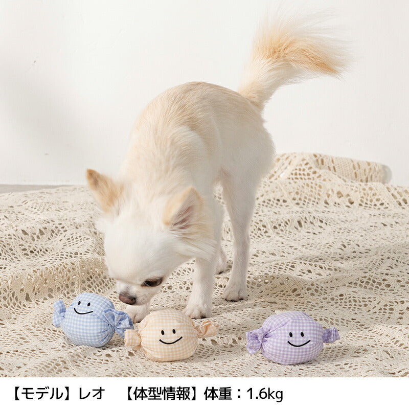 にこにこキャンディ F Un TouTou -アントゥトゥ- 犬用 UT25SS ut255034