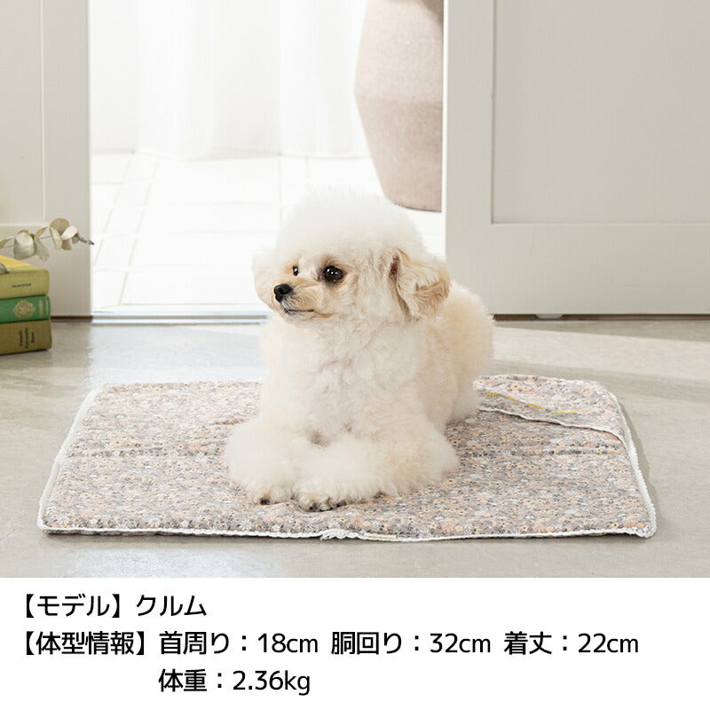 レース小花柄マット F Un TouTou -アントゥトゥ- 犬用 UT25SS ut257035