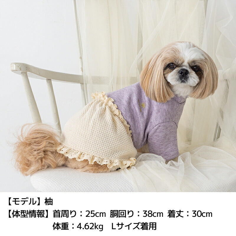 襟レース切替ニットワンピ XS/S/M/L/XL/XXL Un TouTou -アントゥトゥ- 犬服 ドッグウェア UT25AW ut251070