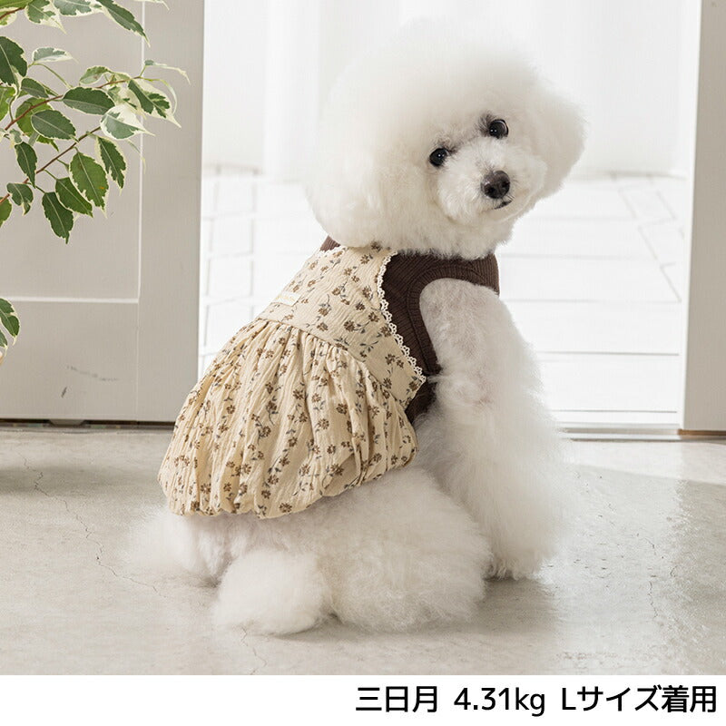 小花柄アンサンブルワンピ XS/S/M/L/XL/XXL Un TouTou -アントゥトゥ- 犬服 ドッグウェア UT25AW ut251074