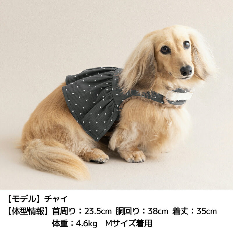 ドット柄ハーネス XS/S/M/L Un TouTou -アントゥトゥ- 犬用 UT25AW ut259086
