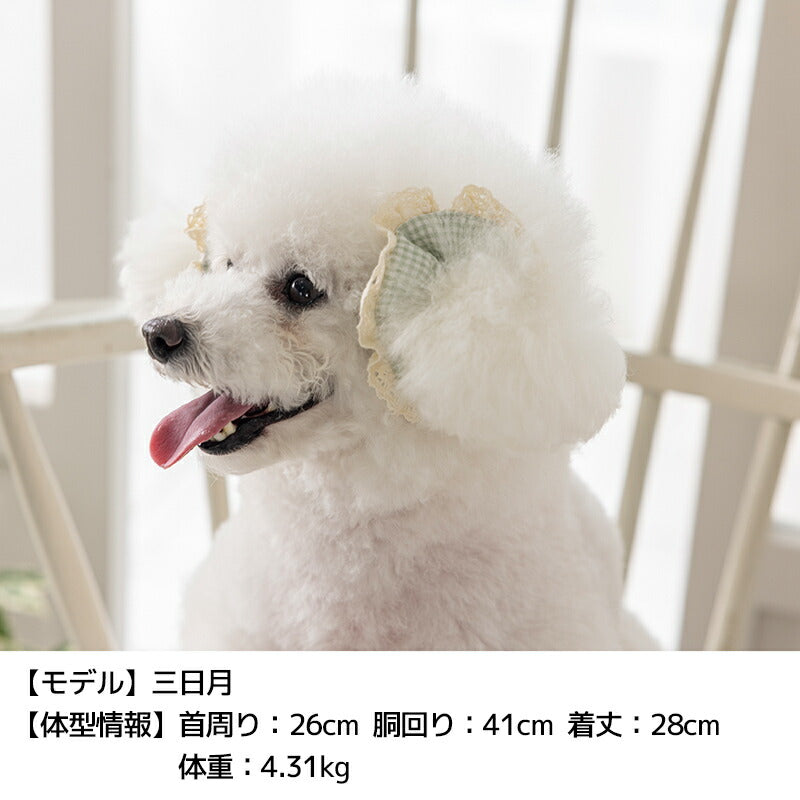 イヤーシュシュ Free Un TouTou -アントゥトゥ- 犬用 アクセサリー UT25AW ut252114