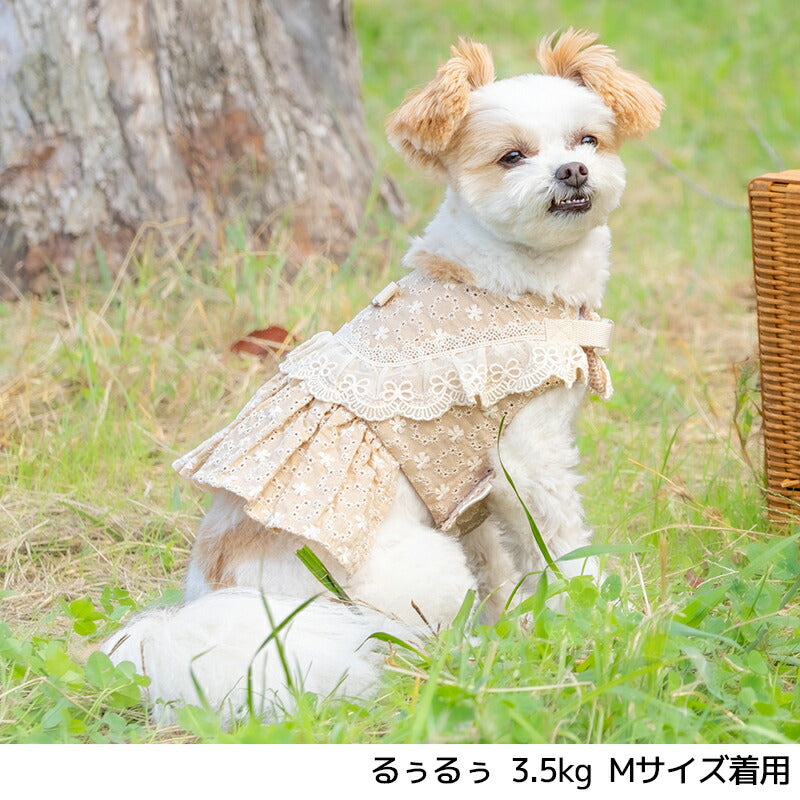 ナチュラルレースハーネス S/M/L Un TouTou -アントゥトゥ- 犬用 UT26SS ut269169