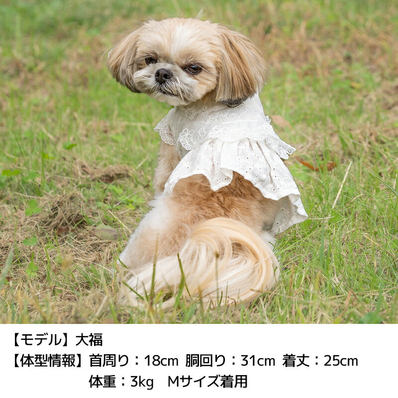 ナチュラルレースハーネス S/M/L Un TouTou -アントゥトゥ- 犬用 UT26SS ut269169