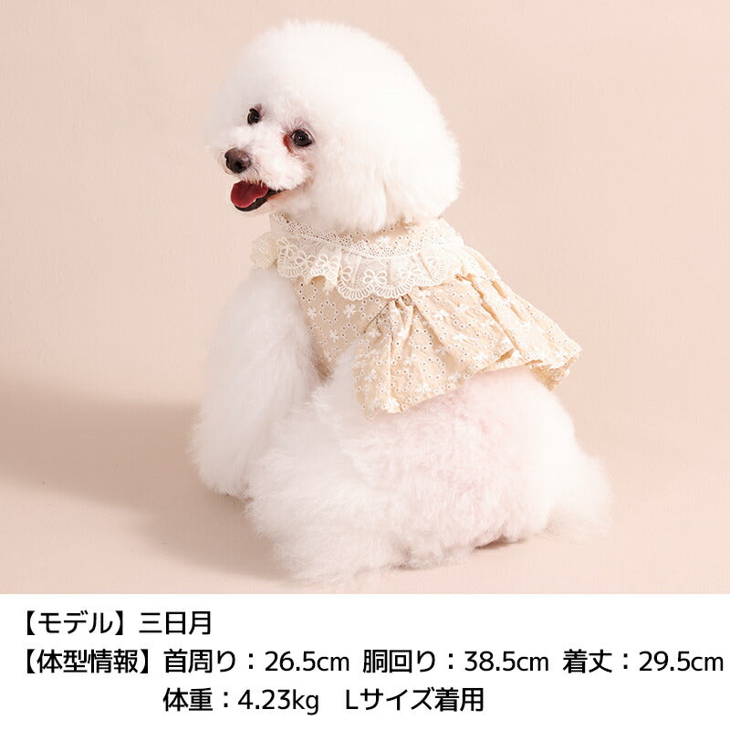 ナチュラルレースハーネス S/M/L Un TouTou -アントゥトゥ- 犬用 UT26SS ut269169