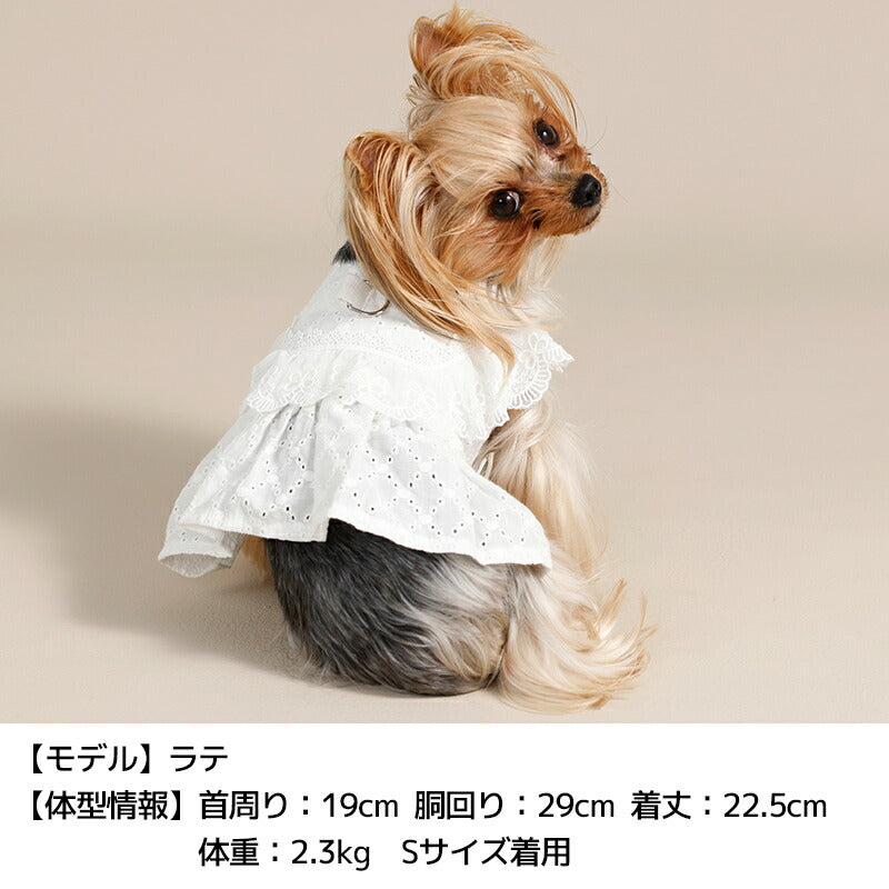 ナチュラルレースハーネス S/M/L Un TouTou -アントゥトゥ- 犬用 UT26SS ut269169