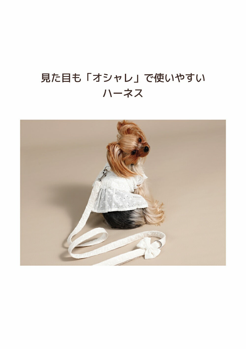 ナチュラルレースハーネス S/M/L Un TouTou -アントゥトゥ- 犬用 UT26SS ut269169