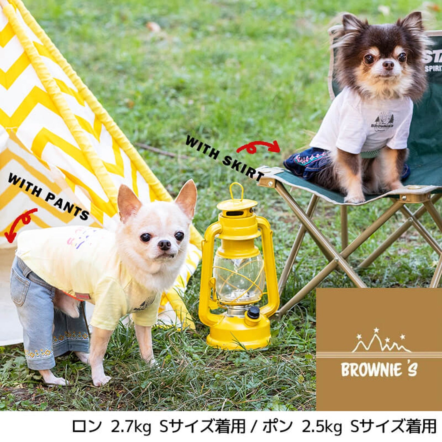 カラフルロゴTシャツ S/M/L/XL/XXL BROWNIE'S-ブラウニーズ- 犬服 ドッグウェア トイプードル チワワ ポメラニアン BR22SS br161670-1