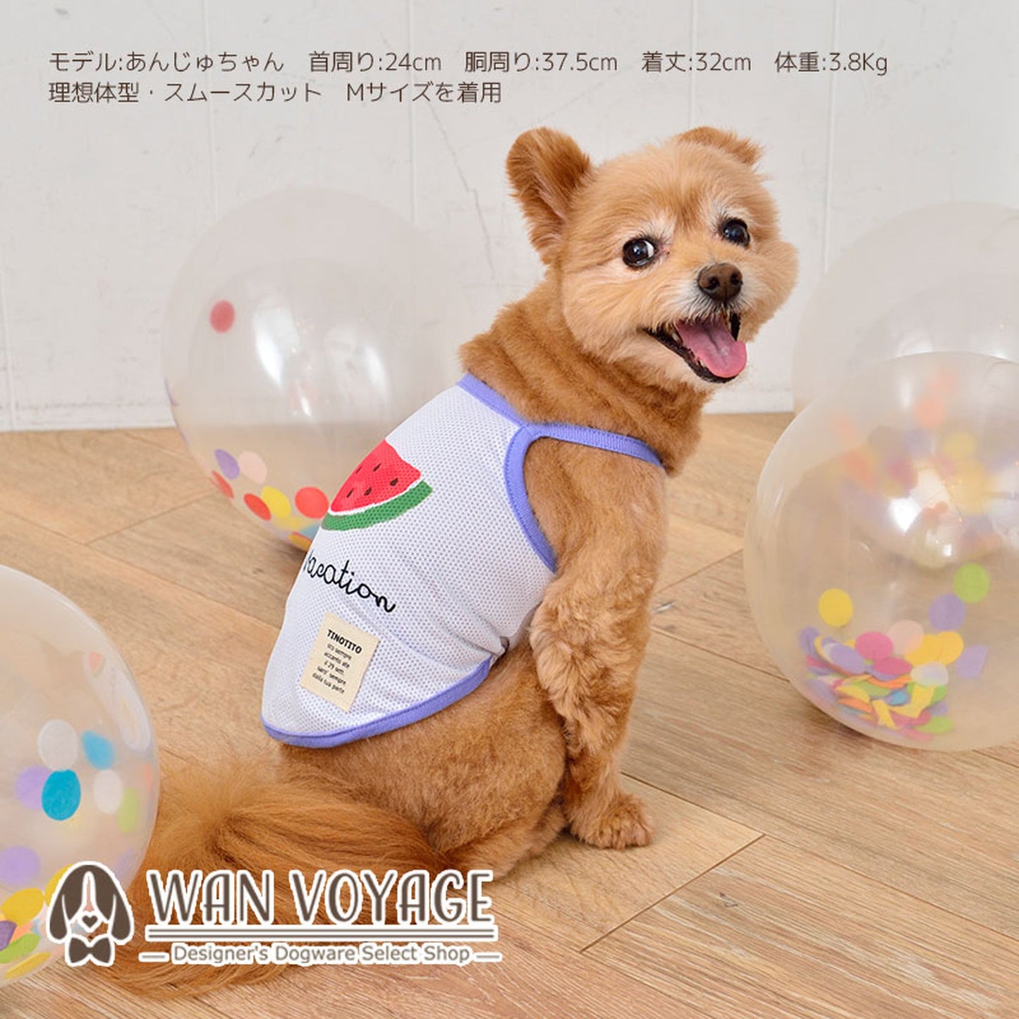 スイカプリントキャミソール 犬服 ドッグウェア XS/S/M/L/XL/XXL ワンボヤージュ TINOTITO ティノティート トイプードル チワワ ダックス tt141174-1