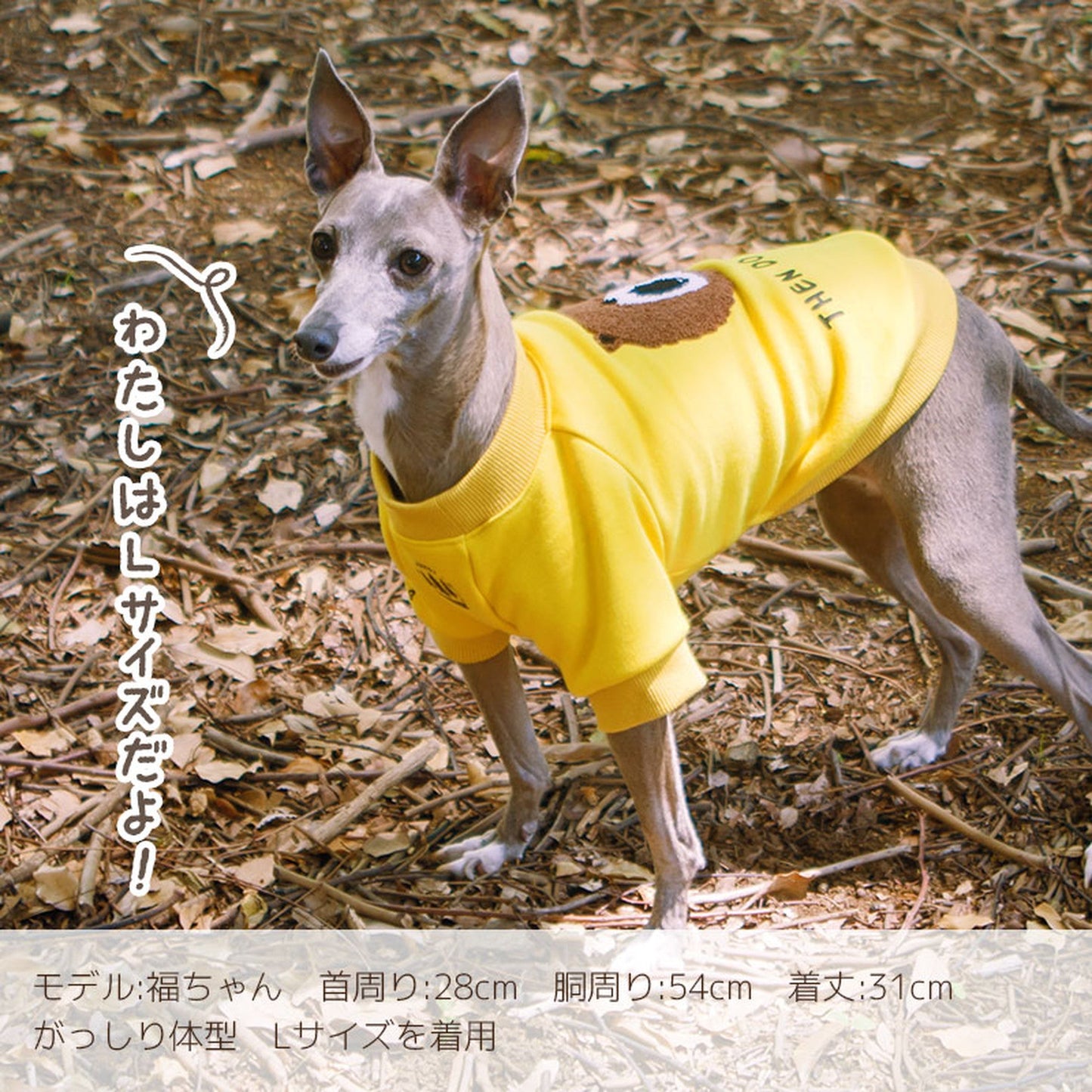 シャウトベアトレーナー 犬服 ドッグウェア S/M/L/XL/XXL ワンボヤージュ ブラウニーズ トイプードル チワワ ダックス br132560-1