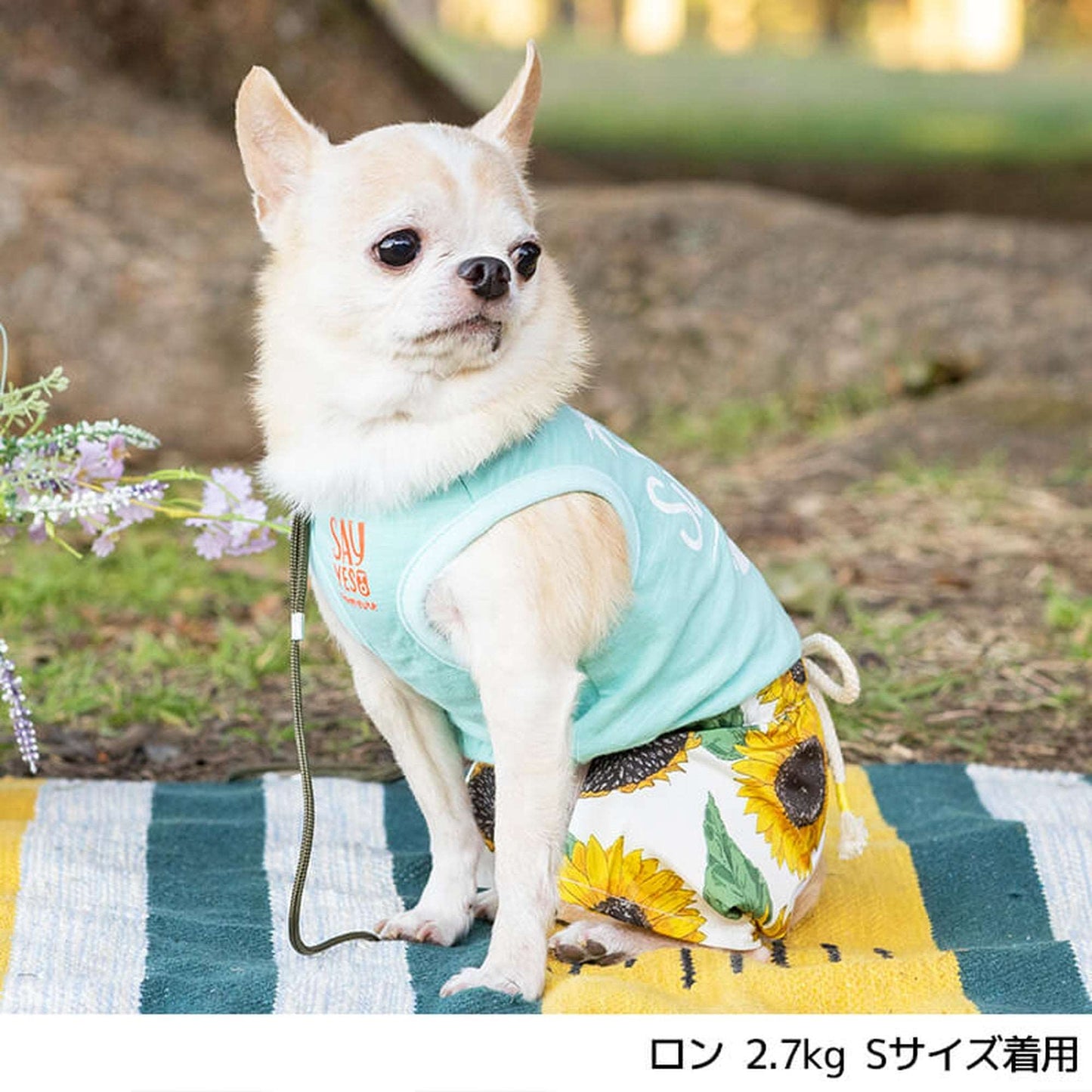 ひまわり柄ロンパース S/M/L/XL/XXL BROWNIE'S-ブラウニーズ- 犬服 ドッグウェア トイプードル チワワ ポメラニアン BR22SS br163675-1