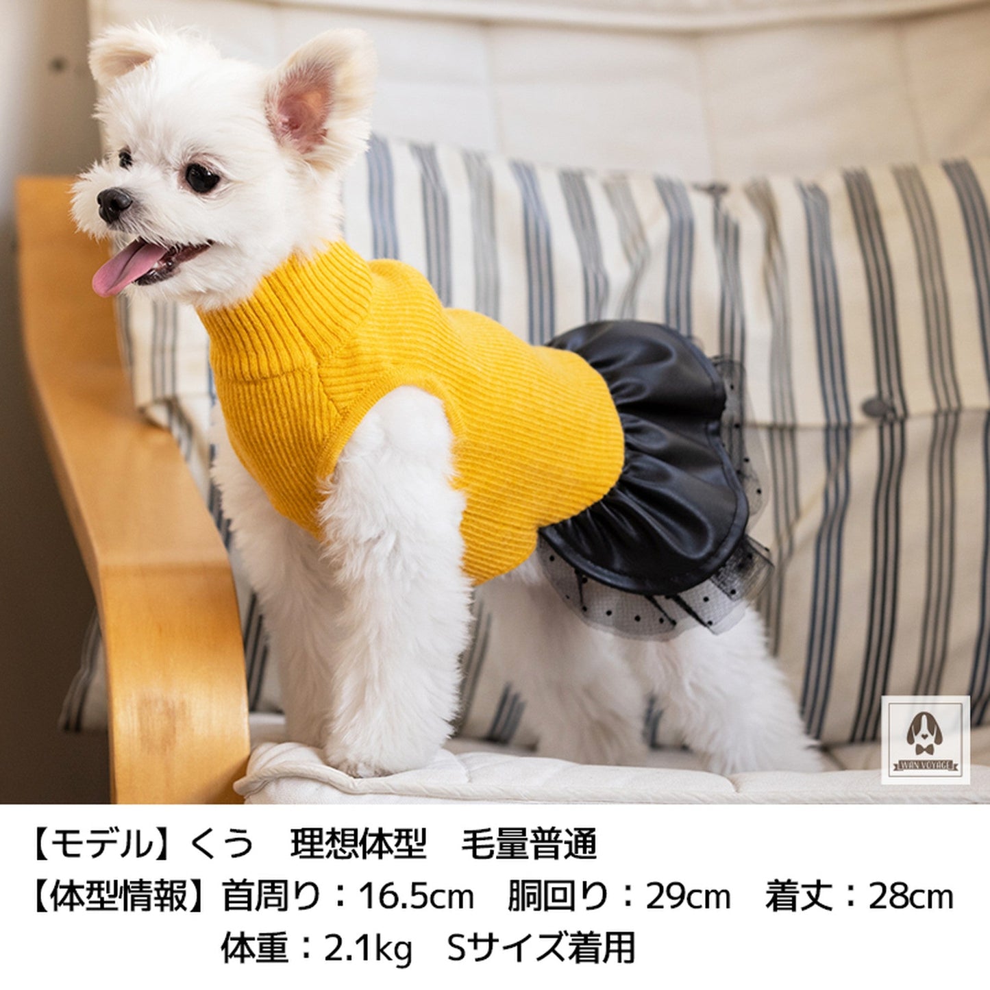 レザースカートワンピ XS/S/M/L/XL/XXL TINOTITO -ティノティート- 犬服 ドッグウェア トイプードル チワワ ポメラニアン TT21AW tt154236-1