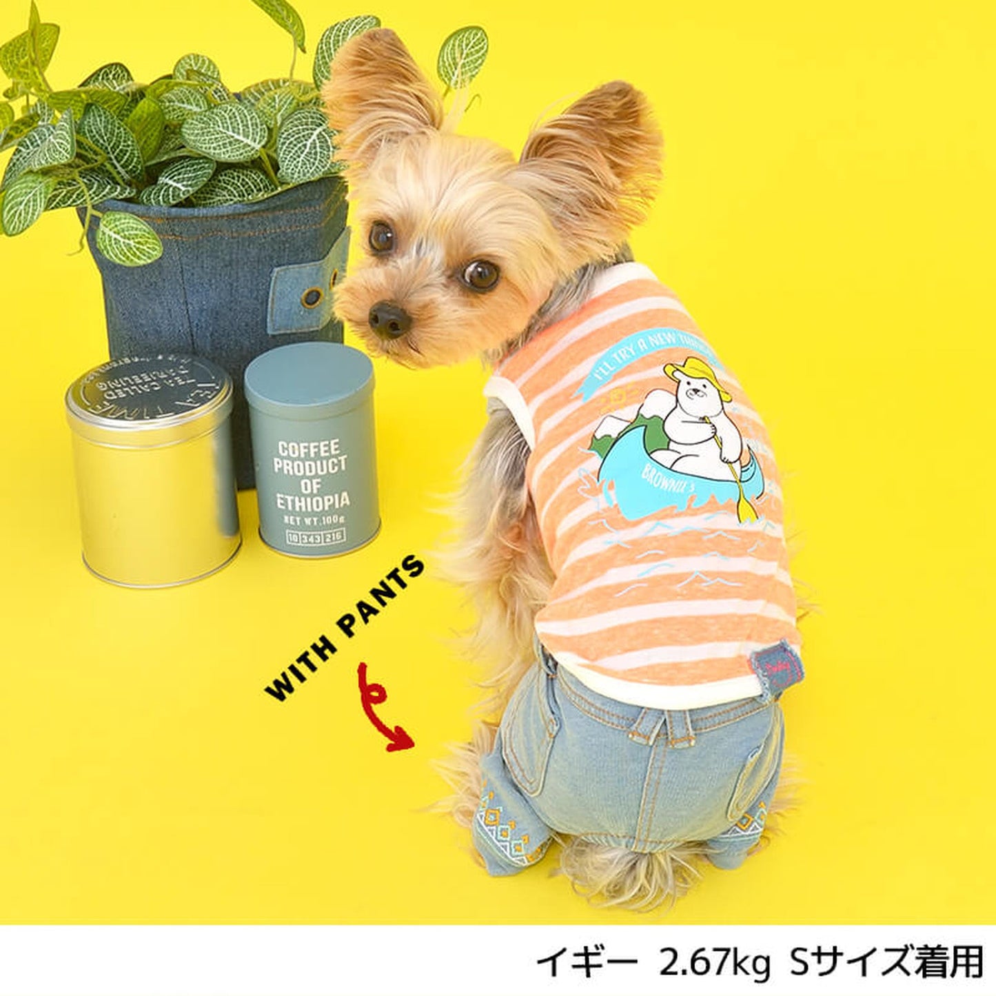 シロクマさんとカヌータンク S/M/L/XL/XXL BROWNIE'S-ブラウニーズ- 犬服 ドッグウェア トイプードル チワワ ポメラニアン BR22SS br161672-1